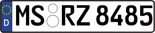 MS-RZ8485