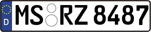 MS-RZ8487