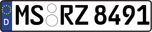 MS-RZ8491