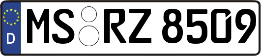 MS-RZ8509