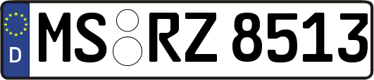 MS-RZ8513