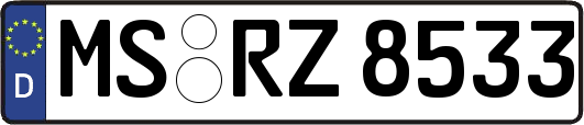 MS-RZ8533