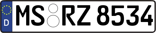 MS-RZ8534