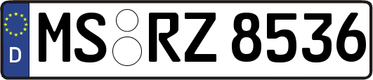 MS-RZ8536