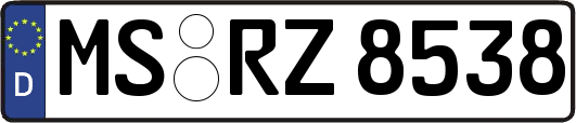 MS-RZ8538