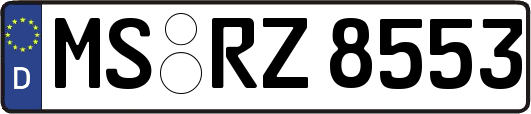 MS-RZ8553