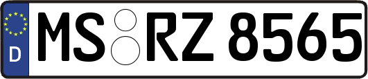 MS-RZ8565