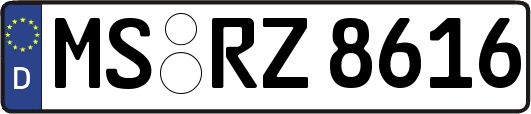 MS-RZ8616