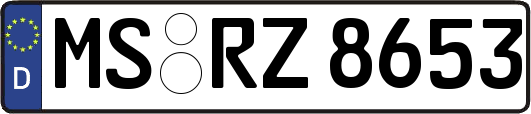 MS-RZ8653