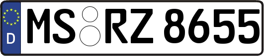 MS-RZ8655