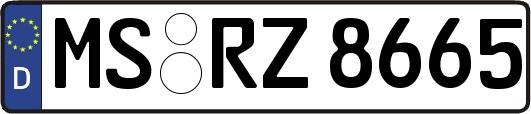 MS-RZ8665