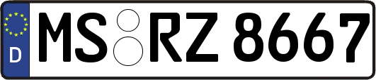 MS-RZ8667