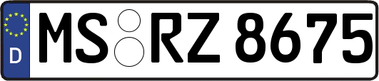 MS-RZ8675