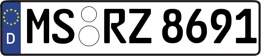 MS-RZ8691