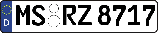 MS-RZ8717
