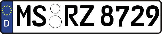 MS-RZ8729