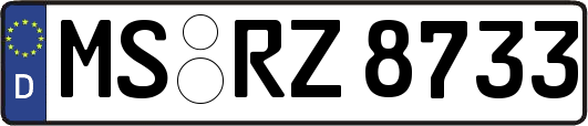 MS-RZ8733
