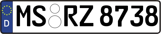 MS-RZ8738
