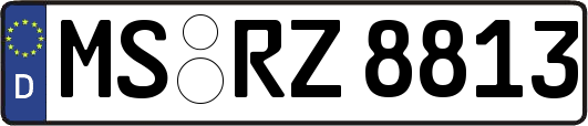 MS-RZ8813