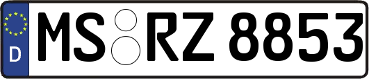 MS-RZ8853