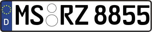 MS-RZ8855
