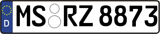 MS-RZ8873