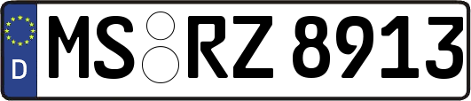 MS-RZ8913