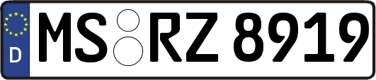 MS-RZ8919