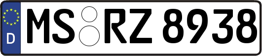 MS-RZ8938