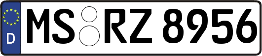 MS-RZ8956