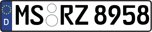 MS-RZ8958