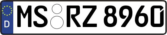 MS-RZ8960