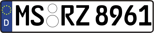 MS-RZ8961