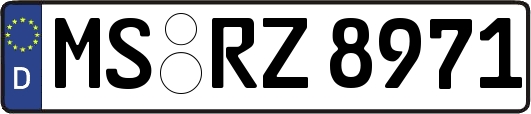 MS-RZ8971