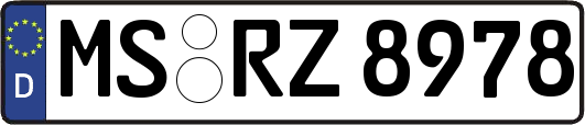 MS-RZ8978