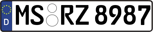 MS-RZ8987