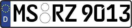 MS-RZ9013