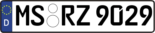 MS-RZ9029