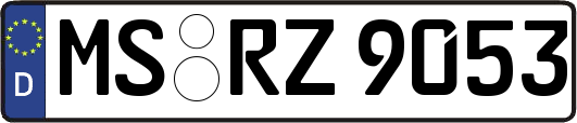 MS-RZ9053