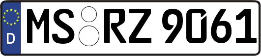 MS-RZ9061