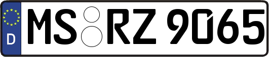 MS-RZ9065