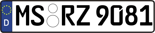 MS-RZ9081