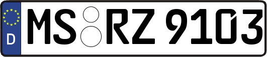 MS-RZ9103