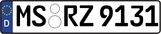 MS-RZ9131