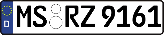 MS-RZ9161