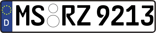 MS-RZ9213