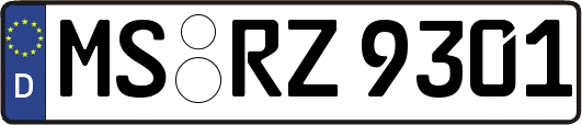 MS-RZ9301