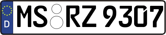 MS-RZ9307