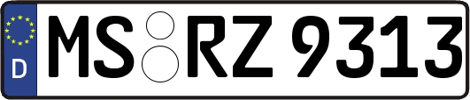 MS-RZ9313