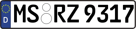 MS-RZ9317